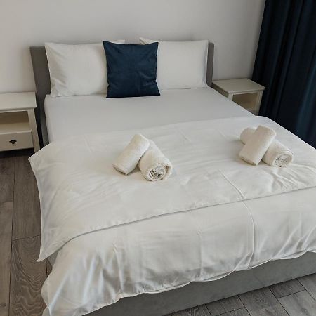 Alina'S Deluxe Apartment And Free Private Parking Dumbravita  ภายนอก รูปภาพ