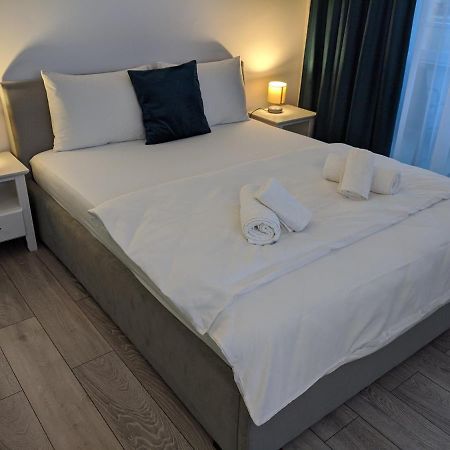 Alina'S Deluxe Apartment And Free Private Parking Dumbravita  ภายนอก รูปภาพ