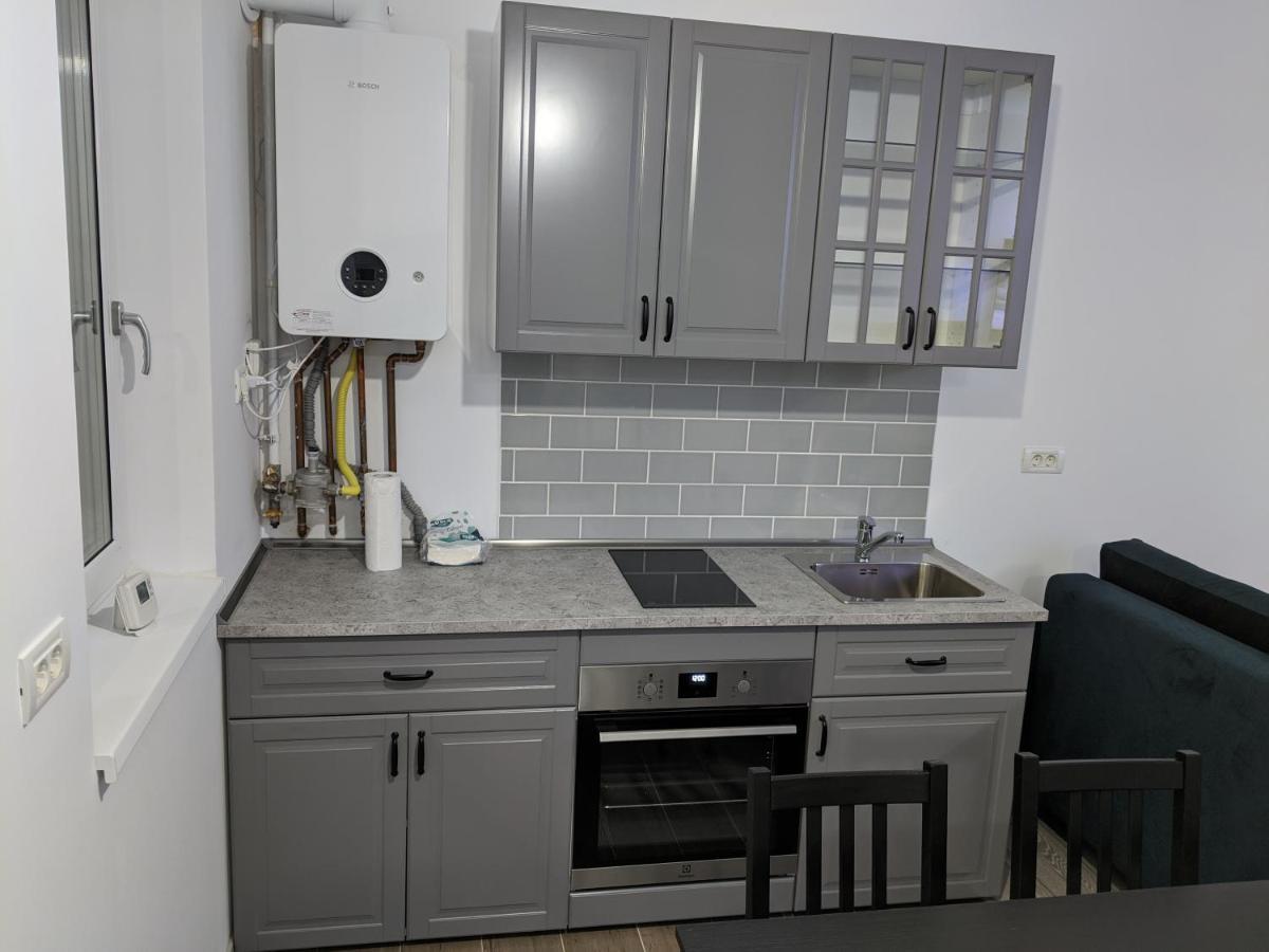 Alina'S Deluxe Apartment And Free Private Parking Dumbravita  ภายนอก รูปภาพ