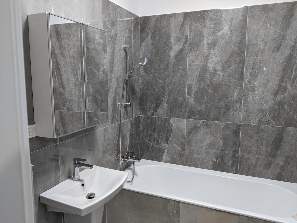 Alina'S Deluxe Apartment And Free Private Parking Dumbravita  ภายนอก รูปภาพ