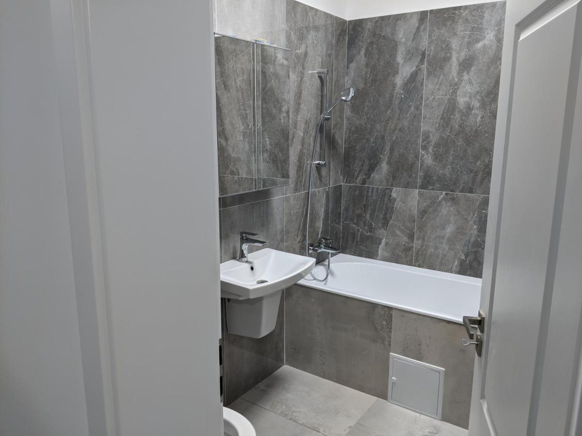 Alina'S Deluxe Apartment And Free Private Parking Dumbravita  ภายนอก รูปภาพ