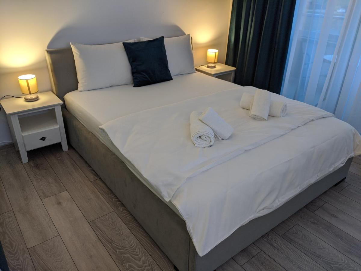 Alina'S Deluxe Apartment And Free Private Parking Dumbravita  ภายนอก รูปภาพ